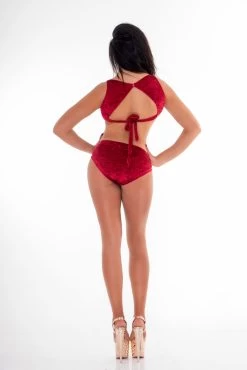 Red Velvet Seduction Bodysuit 7 Red Velvet Seduction Bodysuit -Pole Dancing Clothing Store 0812