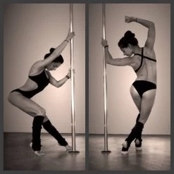 Backbone Leotard Cotton 12 Backbone Leotard Cotton -Pole Dancing Clothing Store 10850097 10152656765738541 1768481349986501686 n