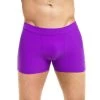 Mike (violet) -Pole Dancing Clothing Store 7c1nmpon7n.Mike man shorts violet 1